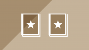 <?php the_title_attribute(); ?>